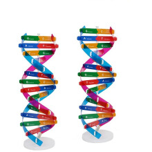 Modèles scientifiques colorés à double spirale, outil pédagogique pour développer les compétences pratiques des enfants, modèle d'ADN