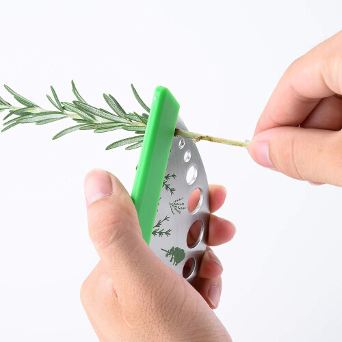 Herbal Bliss: Αποφλοιωτής βοτάνων από ανοξείδωτο ατσάλι με προστατευτική θήκη, ένα 2