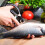 Kitchen Scissors with Micro Serrated Edge, Comfortable Ergonomic Design for Non Slip Cutting, Multi Purpose Tool for Meat, Chicken, Vegetables, 6