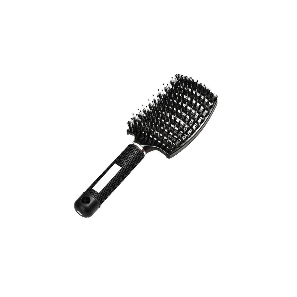 Hair Brush for Extensions with IonInfused Bristles, Gentle Scalp Massage and Frizz Control for Wet and Dry Hair