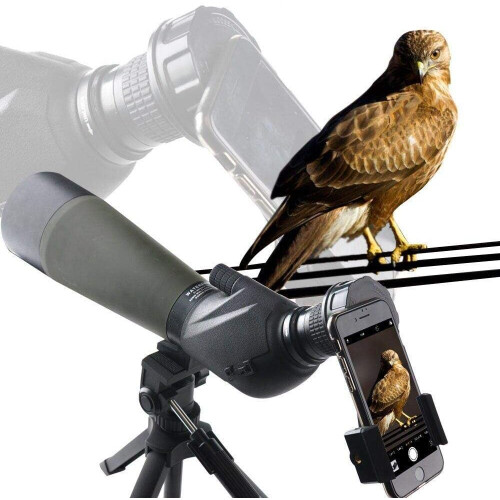 Microscope Adapter For Universal Compatibility, Quick Alignment Ensures Automatic Camera and Optics Alignment, Soft Material Protection For Eyepiece 2