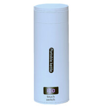 Bouilloire électrique portable, 500 ml, chauffe-eau personnel avec triple couche anti-brûlure, acier inoxydable 304, idéale pour les résidences