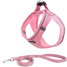 Guinzaglio per cani in nylon riflettente, con doppie maniglie imbottite e fili riflettenti 3M per una maggiore visibilità e comfort durante le