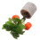 2Pcs Decorative Potted Faux Orange Tree Plastic Mini Artificial Plant 1