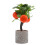 2Pcs Decorative Potted Faux Orange Tree Plastic Mini Artificial Plant 2
