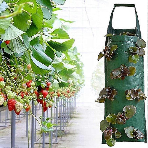 Hanging Strawberry Planter Growbags(2 Pcs, Green) 2