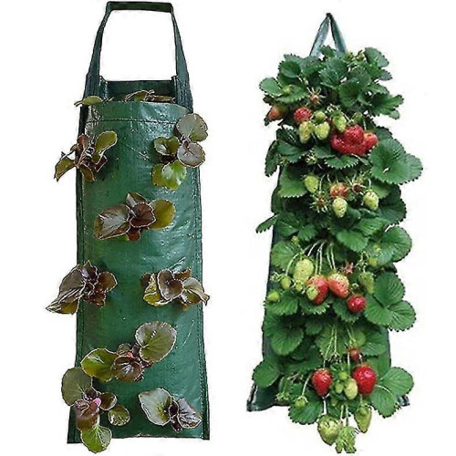 Hanging Strawberry Planter Growbags(2 Pcs, Green) 1