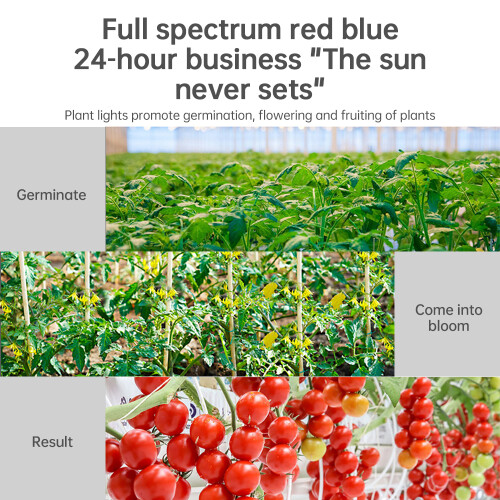 240 LEDs Full Spectrum Grow Light, 150W, E27 Waterproof 2