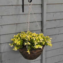 Smart Garden Basket Blond Lobelia - 10in