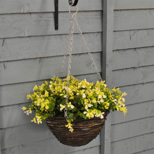 Smart Garden Smart Garden Basket Blond Lobelia - 10in