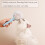 Cat Steam Brush, Non-slip Handle for Ultimate Control During Grooming 3