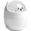Innovative Lightweight Waste Bin, Mini Desktop Trash Can With Covered Waste Basket Appeal, Durable PP Materials Ensure Solid And Rough Usage 1