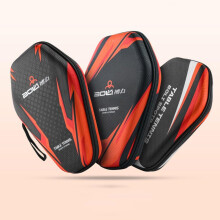 Table Tennis Racket Case EVA Hard Shell Waterproof Bag for 2 Paddles and Balls with Carry Handle