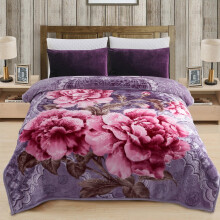 JML Soft Plush Fleece Blanket for Bed Queen 75"x87" 5lb,2 Ply Raschel Blanket Light Purple Flower