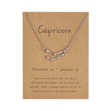 ifundom12 Collana con ciondolo costellazione e strass, oroscopo, astrologia, gioiello con carta, regalo di compleanno per donne (argento, )
