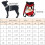 Haustierrucksack mit Griff 2