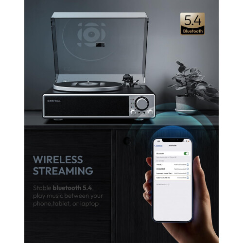Qlearsoul ONE-Q All-in-one Vinyl Record Player wit 1