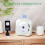 CD Player with Transparent Cover, Bluetooth, USB, 3