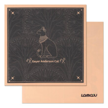 Lammcou Glasses Cleaning Cloth, Microfibre Lens Gl