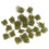 100 Pcs Grass Cluster Models For Sand Table Mini Garden 1