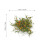 100 Pcs Grass Cluster Models For Sand Table Mini Garden 9