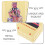 Adjustable Length Storage Box Plastic Drawer Organiser Multi-Functional Makeup Organizer 8