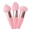 6Pièces Outils Éponge Rose Petite Tête Parfaits Voyage 1