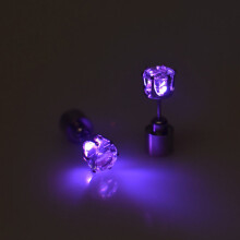 2Paren Glanzende LED Oorstekers Zilver Voor Dansfeest En Concert