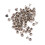 200 Pcs Screws Assorted Kit Stainless Round Cross Head Diy Decoration 6