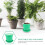 3pcs Grower Sprouter Container Nursery Dedicated 6