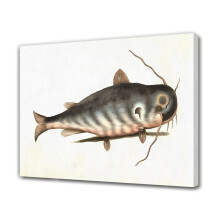 Pictură pește pe pânză poster decor dormitor peisaj sportiv decor cameră birou cadou, stil ramă, 16x24inch (40x60cm)