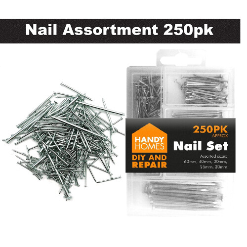 250pk Hardware Assorted Nails Set 1