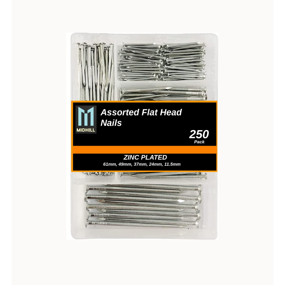 Midhill 250Pk Assorted Nails For Wood Â Iron Nail 49258233
