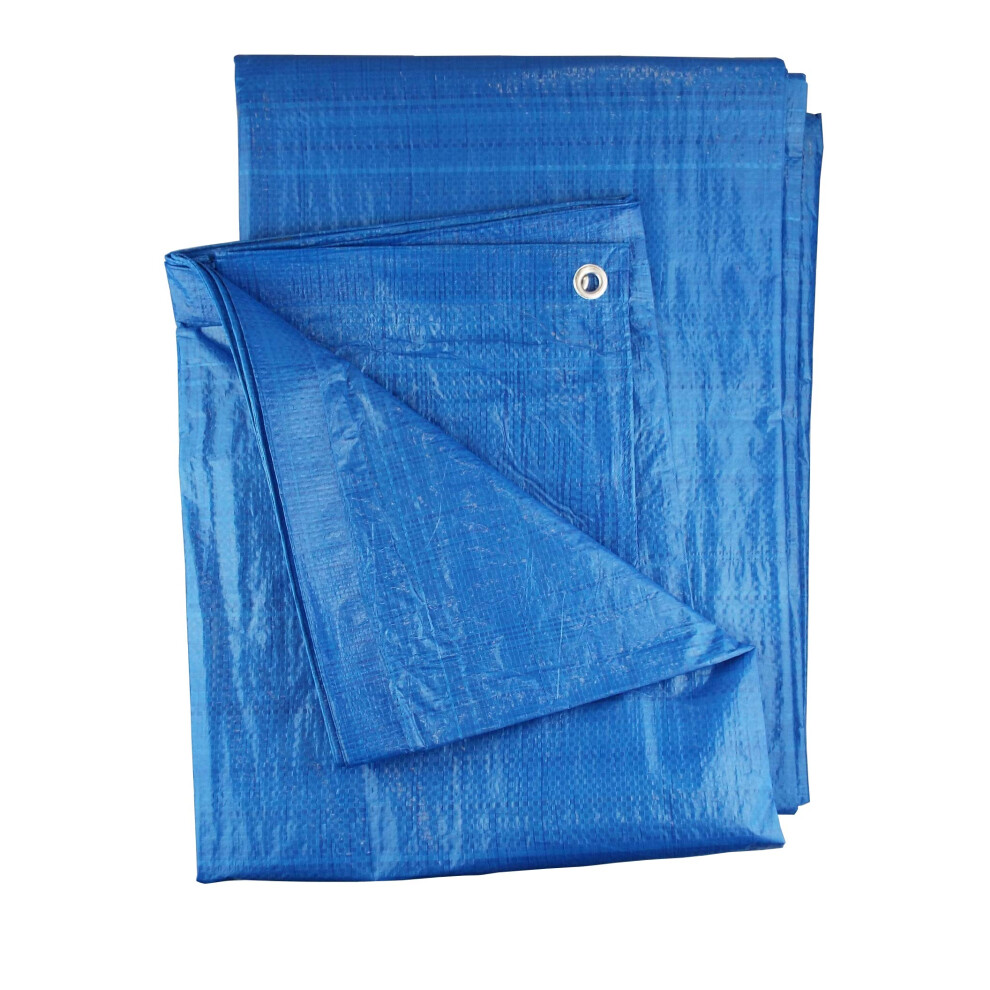 3M X 3M Blue Waterproof Tarpaulin/Builders Tarp/Garden Dry Cover Up/Weatherproof Camping Ground Sheet/Indoor Dust Cover 12073108