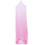 2Pcs Pink Net Bed Canopy Dome Mosquito Netting Elegant and 1