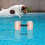 Eease 2Pcs Interesting Pool Weights Interactive Water Weights Entertainment Pool Dumbbells 3