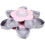 Flower Shape Double Layer Rotatable Food Storage Holder 6