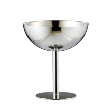Stainless Steel Ice Cream Cups Dessert Bowls for Salad Fruit Pudding, Set of 2 Silver
