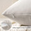 Conjunto de 2 capas de almofada decorativas Cterwk em veludo macio para sofá, cama, 45x45 cm (18x18 polegadas) 3
