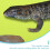 Krabbeldecke, Terrarieneinlage, Bodengrund, Bartagamenteppich, Gecko-Eva 6