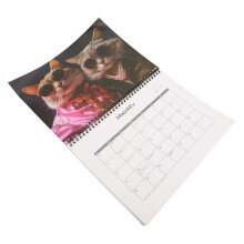 Katzenkalender 2025 28,5x22 cm 188 g bunt
