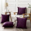 Conjunto de 2 capas de almofada decorativas em veludo Cterwk para sala de estar, quarto, sofá, poltrona, 45x45 cm (18x18 polegadas). 3