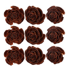 10 st torkade blommor DIY torkade blommor hantverksmaterial naturliga blommor prov
