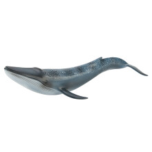 Balena Blu Giocattolo, Dettagli Realistici e Piccolo Set da Gioco per Progetti Scolastici, Statuetta di Animale Marino per Decorazione Domestica,