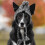 Nlsdqey Pet Hats Καπέλο Σκύλου για Μικρά και Μεσαία Σκυλιά Χειμερινό Ζεστό Πλεκτό Σκούφο 6