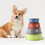 PetClub1PC Ταΐστρα για κατοικίδια Μπολ για κατοικίδια από ανοξείδωτο ατσάλι Τροφή για 3