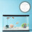 1Pc Fish Breeder Box Practical Fish Aquarium Home Fish Isolation Box White 7