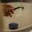 2 Pcs Basin Drain Stopper Filter for Sink Plug Hotel Bathroom Drainer Plastic 3