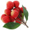 Modelo artificial de lichia - decoração de fruta realista. 1
