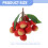 Modelo artificial de lichia - decoração de fruta realista. 5